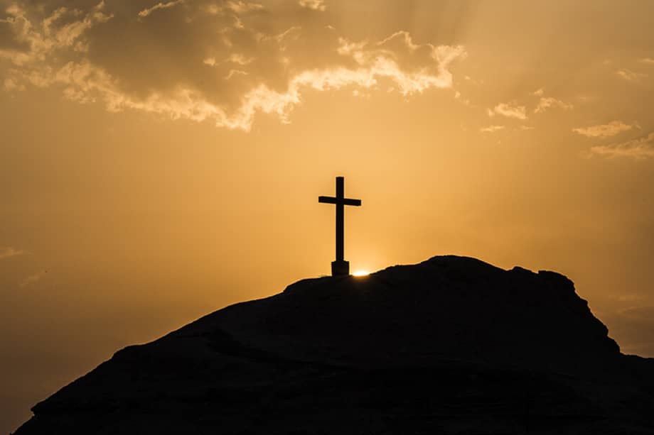 Regresar al principio (Verso a verso)