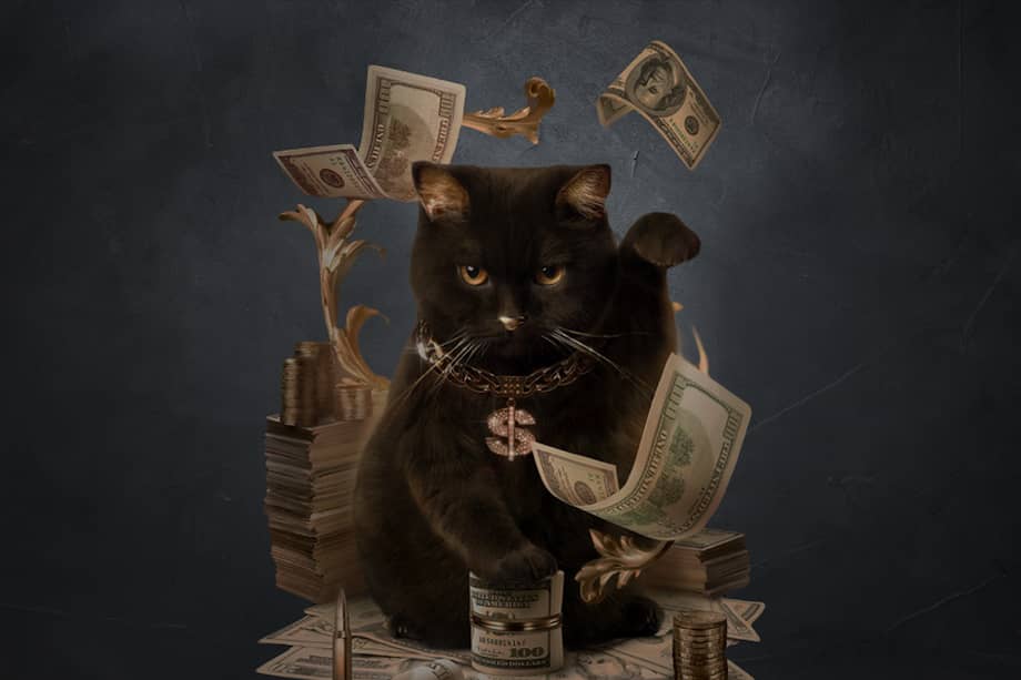 (IMAGEN DE REFERENCIA) / Ben Rea dejó toda su fortuna a su querido gato Blackie.