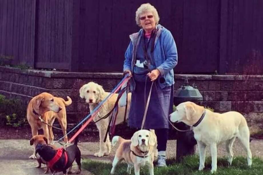 La mujer se encontraba paseando a unas mascotas en su carro cuando un delincuente se acercó con la intención de robar el vehículo.