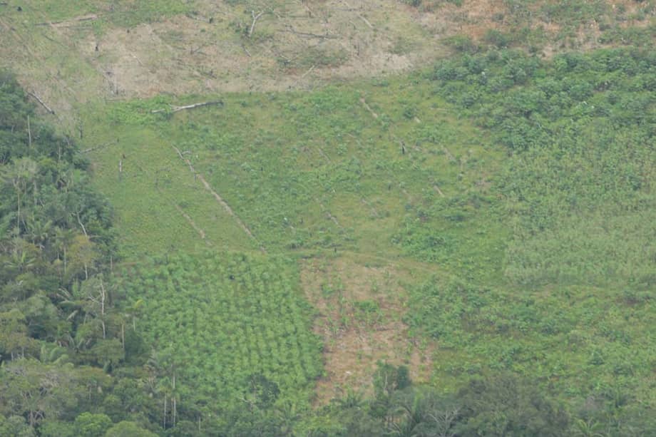 Colombia explora los caminos jurídicos del posconflicto