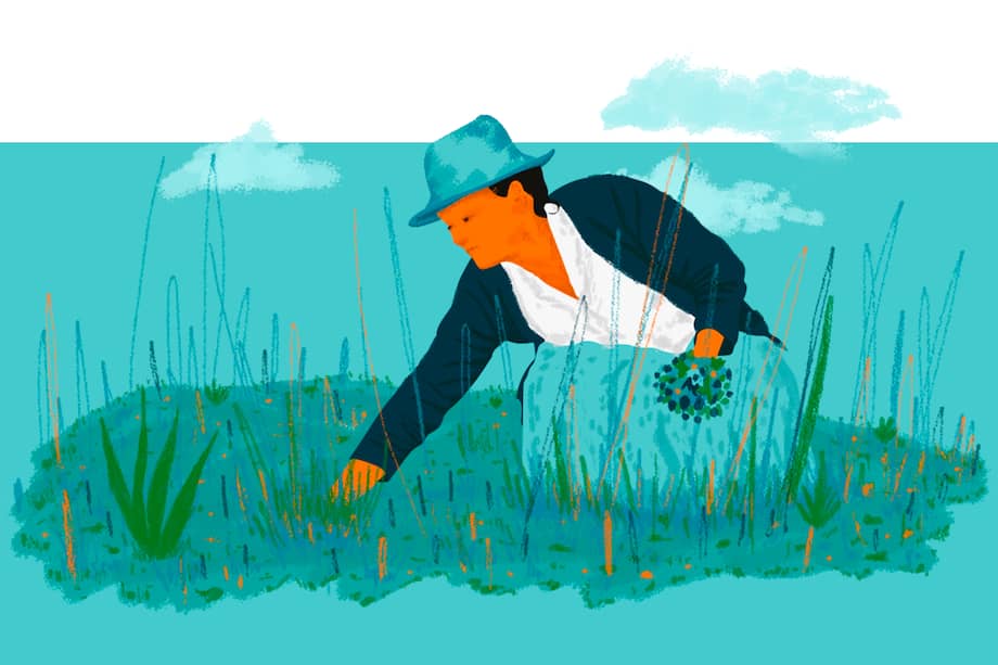 El trabajo multimedia también cuenta con una línea de tiempo en donde se pueden explorar las fechas e hitos más importantes de la creación de las Circunscripciones de Paz, desde el nacimiento de la propuesta el 24 de noviembre de 2016 hasta las votaciones de este 13 de marzo.