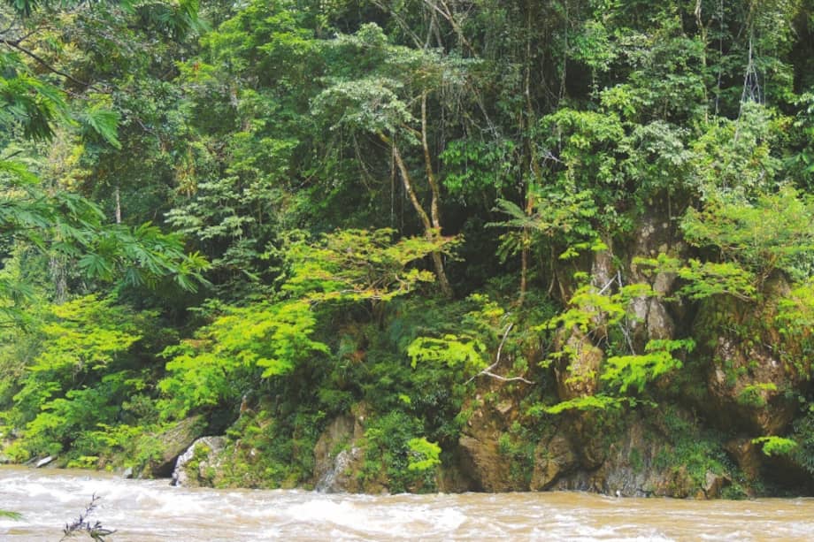 Uno de los sitios de muestreo en las orillas rápidas del río. / Felipe Mesa