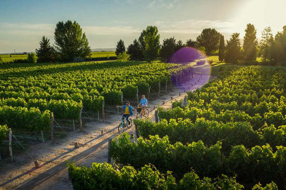 El precio y la calidad lideran las prioridades de los viajeros. En la imagen, Mendoza, en Argentina.