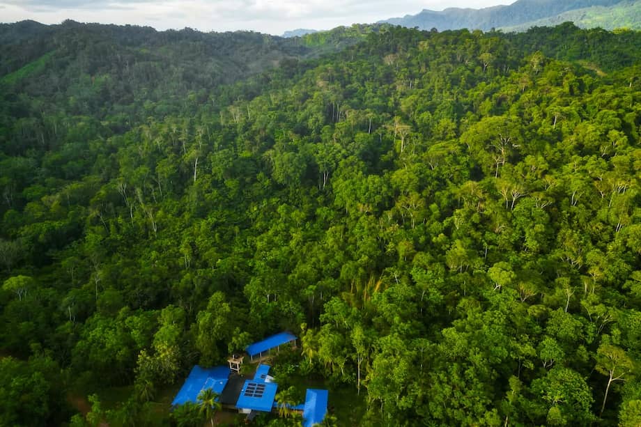 Conservación comunitaria y protección del bosque húmedo tropical en la Reserva Natural La Cristalina.