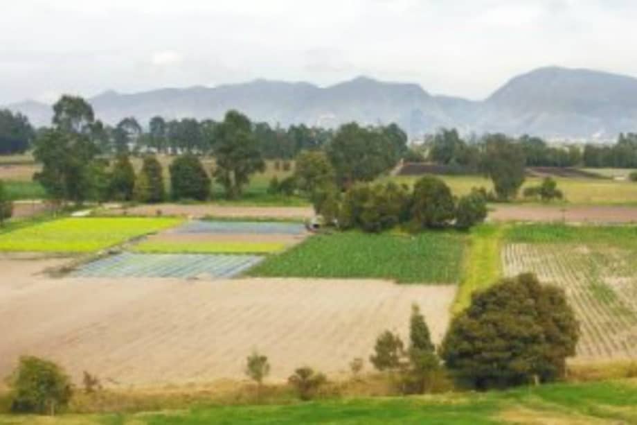 La reserva Thomas van der Hammen, al norte de Bogotá.