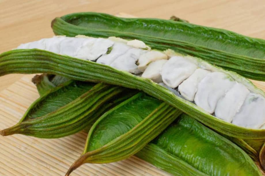 El guamo porta nutrientes esenciales: contiene fibra, proteínas, vitaminas A, B y C, además de minerales como hierro y calcio.