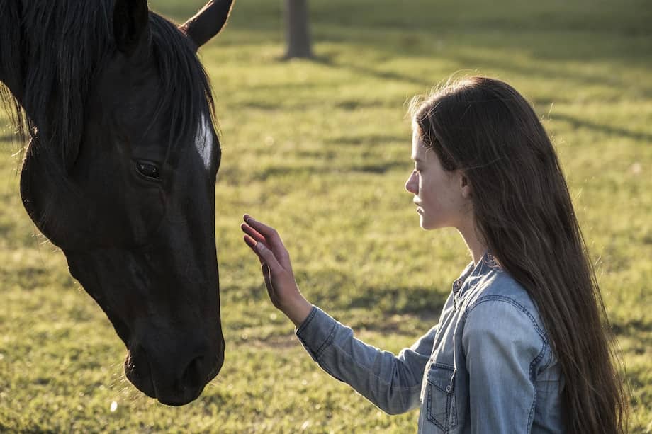 "Black Beauty" es la historia de una yegua salvaje que nació libre en el oeste americano. Cuando la capturan y apartan de su familia, se encuentra con Jo Green (Mackenzie Foy), una joven de 17 años que también sufre por la pérdida de sus padres.