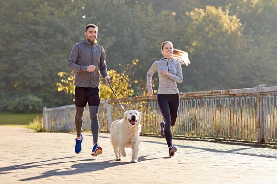 Seis consejos para que tu mascota se ejercite