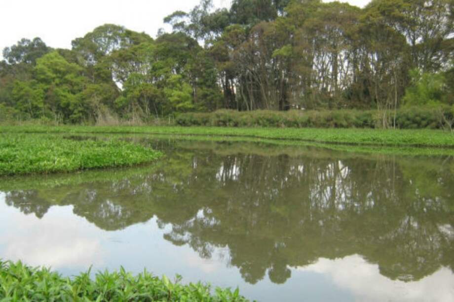 Cortesía Alcaldía de Bogotá / Cortesía Alcaldía de Bogotá
