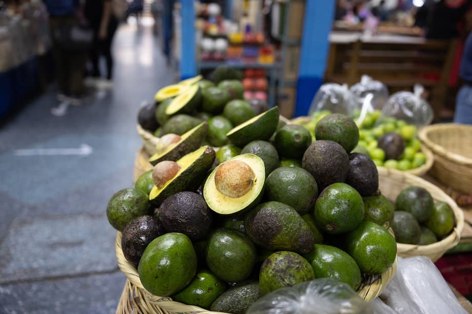 El 60% de un aguacate está compuesto por aceites, algo que también ha despertado el interés de investigadores por sus contenidos lipídicos. EFE/ David Toro