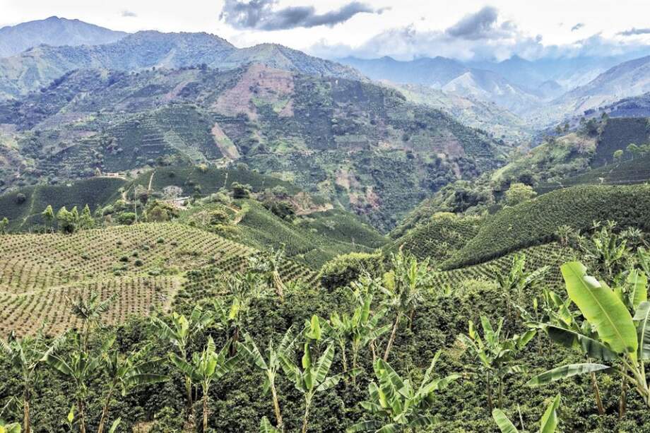 Una de las zonas con mayor potencial agrícola en el municipio de Jardín (Antioquia) está incluida en los títulos entregados para exploración de oro y otros minerales. / Sebastián Ochoa G.