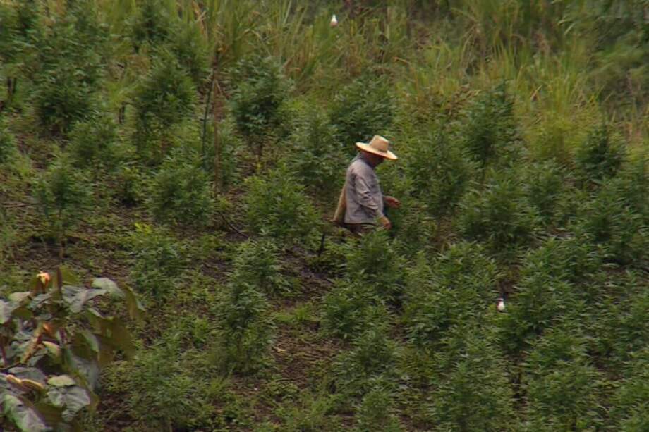 Las plataformas rechazan la decisión del presidente Iván Duque de enviar 2.500 militares al norte del Cauca, como respuesta a la crisis humanitaria. / EFE