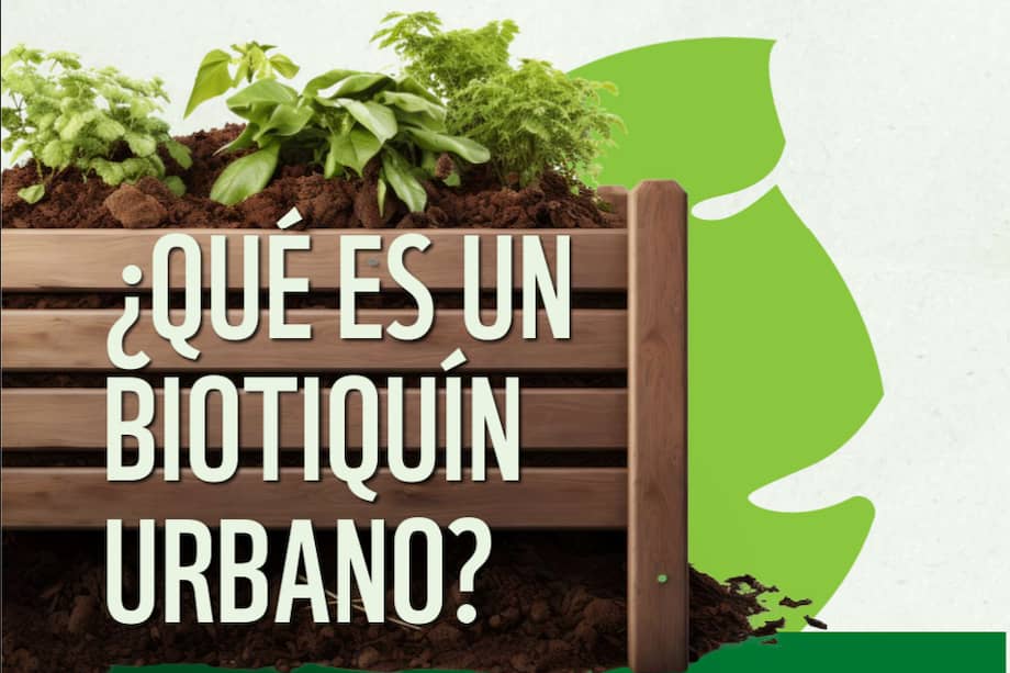 WWF Colombia lanzó el Biotiquín Urbano, una guía gratuita que reúne 15 plantas de uso cotidiano para rescatar saberes tradicionales,