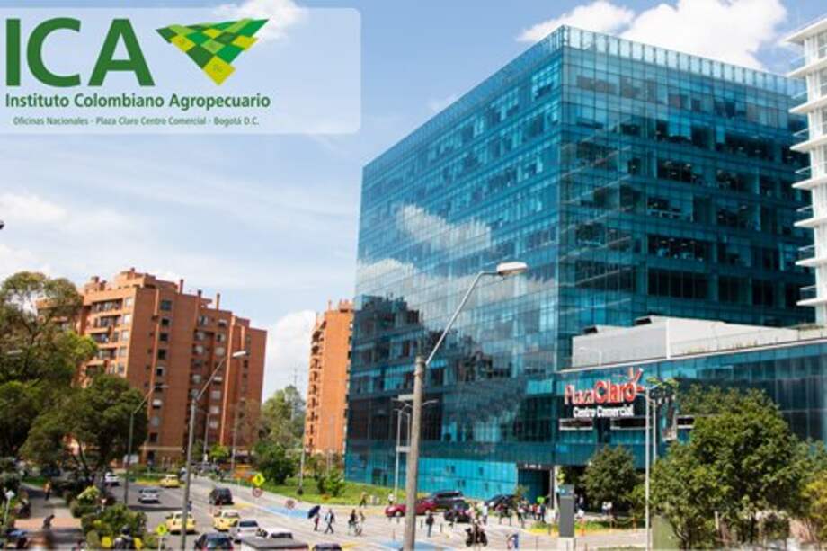 María del Pilar Ruiz asumió la dirección del ICA el pasado 6 de enero, siendo el relevo de Deyanira Barrero León.