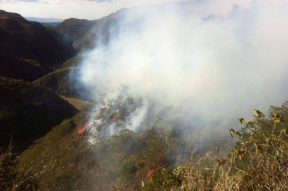 Mapa de la NASA que muestra los focos de incendio entre el 25 y 26 de agosto. / MODIS / NASA