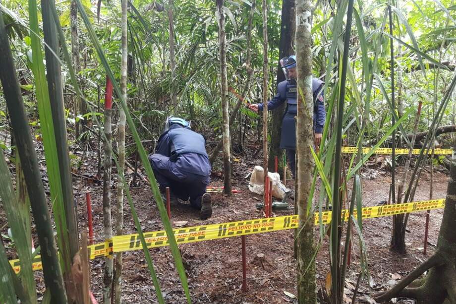 Cortesía Brigada de Desminado Humanitario