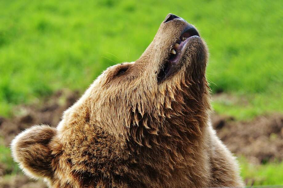 Imagen de referencia / Pixabay