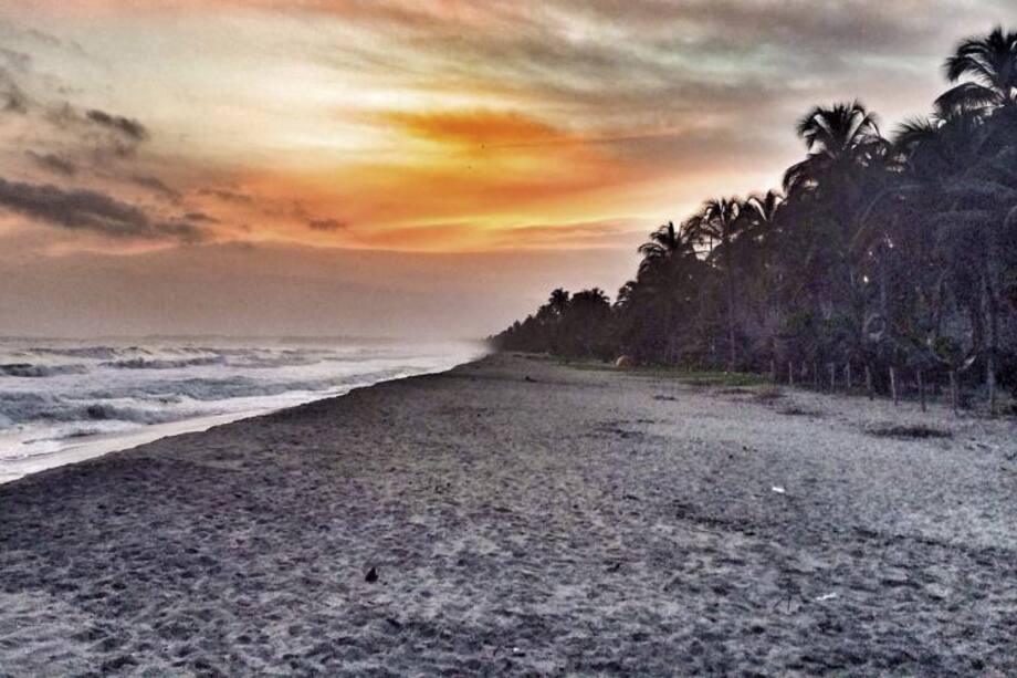 Palomino, un destino para desconectarse