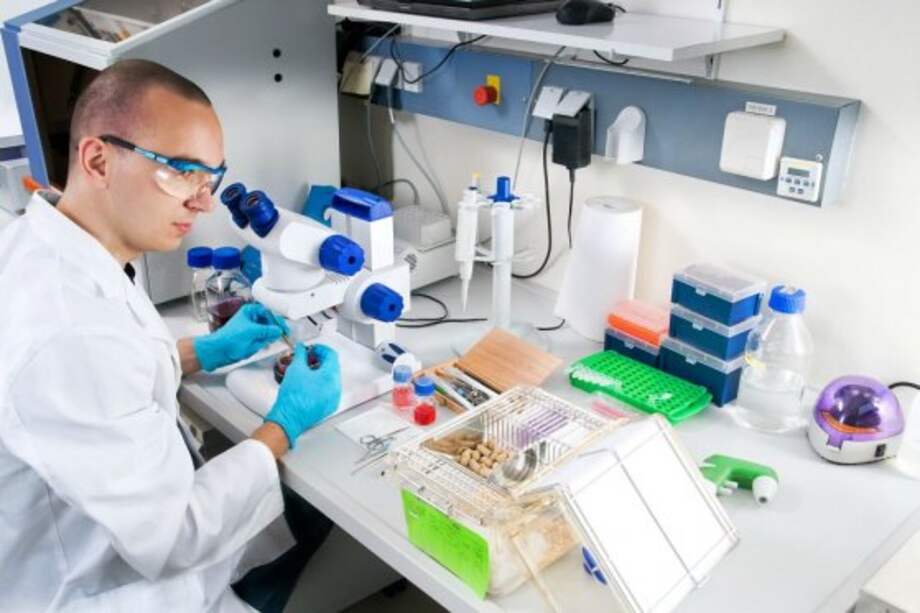 Gobierno recorta presupuesto de Colciencias