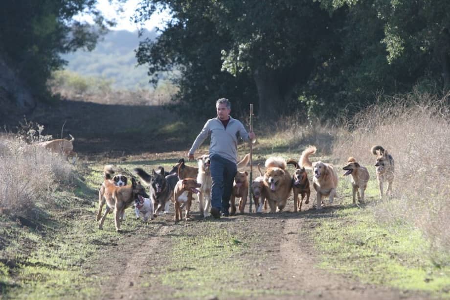 César Millán, conocido como "el encantador de perros". / Archivo