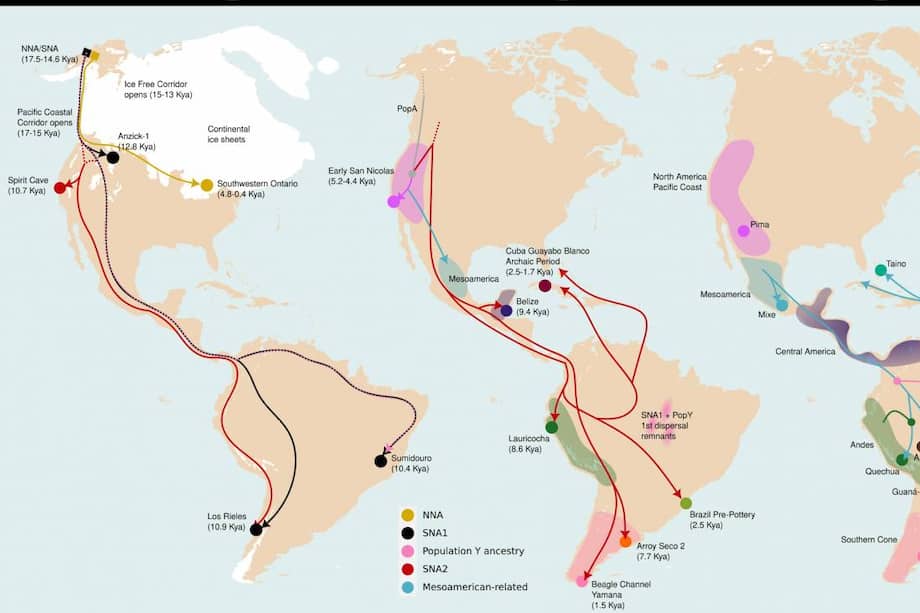 Tres grandes dispersiones moldearon la diversidad genética de los pueblos indígenas de Sudamérica. / Marcos Araújo Castro e Silva- Agencia SINC