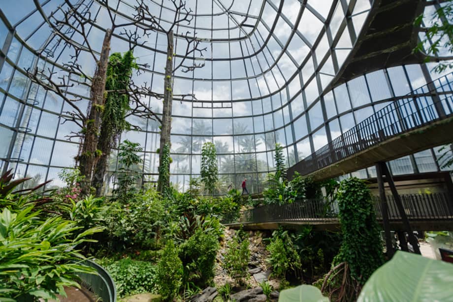 Con cerca de 20 hectáreas, el Jardín Botánico José Celestino Mutis es el principal refugio de biodiversidad de Bogotá, donde se conservan alrededor de 2.000 especies de plantas y decenas de especies de aves representativas de los ecosistemas andinos y de páramo. Los visitantes pueden recorrer los diferentes senderos, además de espacios como el tropicario más grande de Colombia, un espacio destinado a la conservación de especies de distintos ecosistemas del país, La Huerta Madre, el jardín de las rosas y participar en actividades educativas que se realizan a diario para acercar la ciencia y la naturaleza a todos.