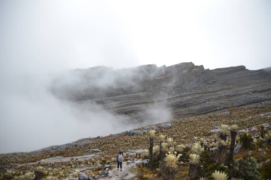 Parque Nacional Natural Nevado del Cocuy.