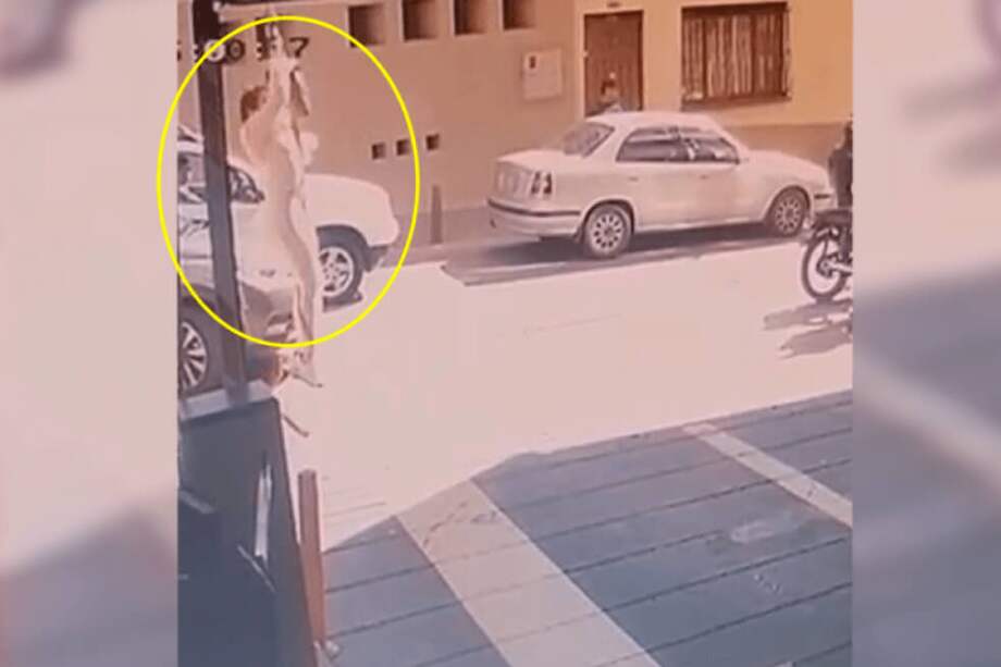 La excongresista se fugó de los dragoneantes del Inpec que la custodiaban mientras atendía a una cita odontológica. / Captura de video