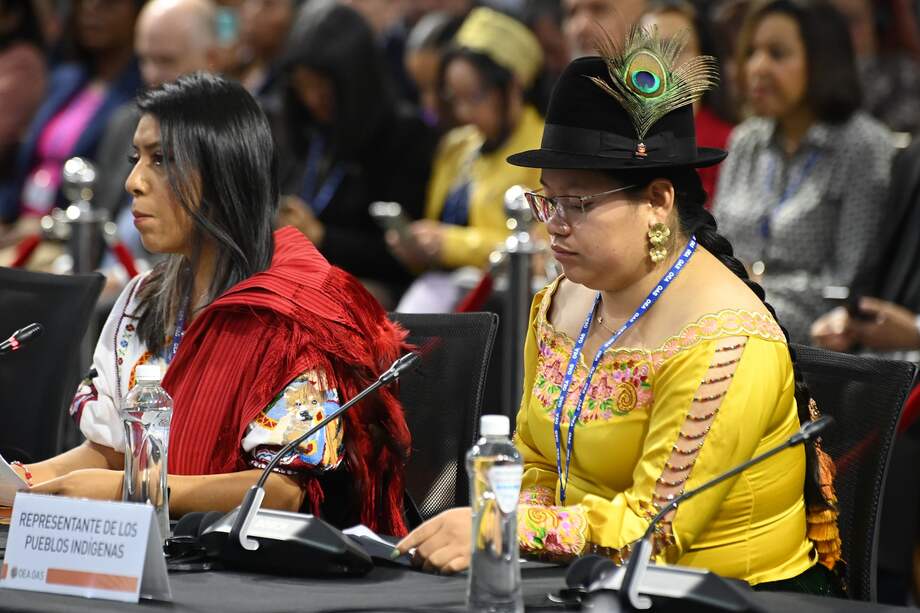 Patricia Torres es la coordinadora de la Coalición de Naciones y Organizaciones Indígenas ante la Asamblea General OEA.