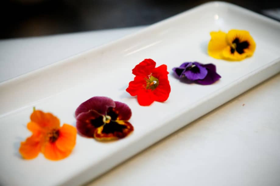 El sabor de las flores comestibles