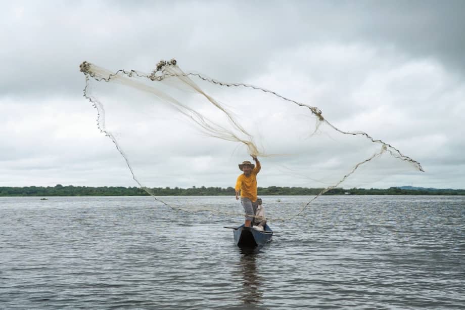 Sesenta asociaciones locales se unieron al proyecto y 35 de ellas se vincularon a las pequeñas iniciativas comunitarias, PNUD-PPD. / Maura Alejandra C. Callejas