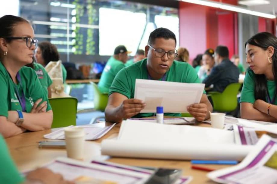Mentores de Instituciones Educativas.