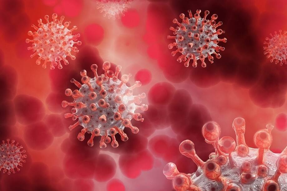 El hongo negro, nueva patología mortal que asociarían al coronavirus