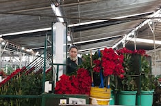 Panorama del mercado laboral colombiano, entre retos venideros y las brechas existentes