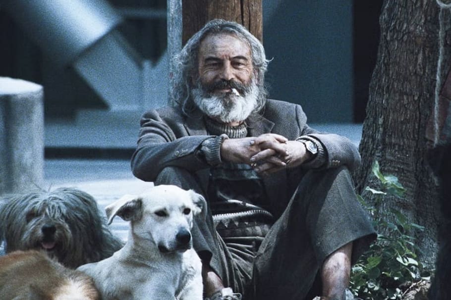 ‘Amores perros’: así será la serie de Sofía Vergara inspirada en la película mexicanas