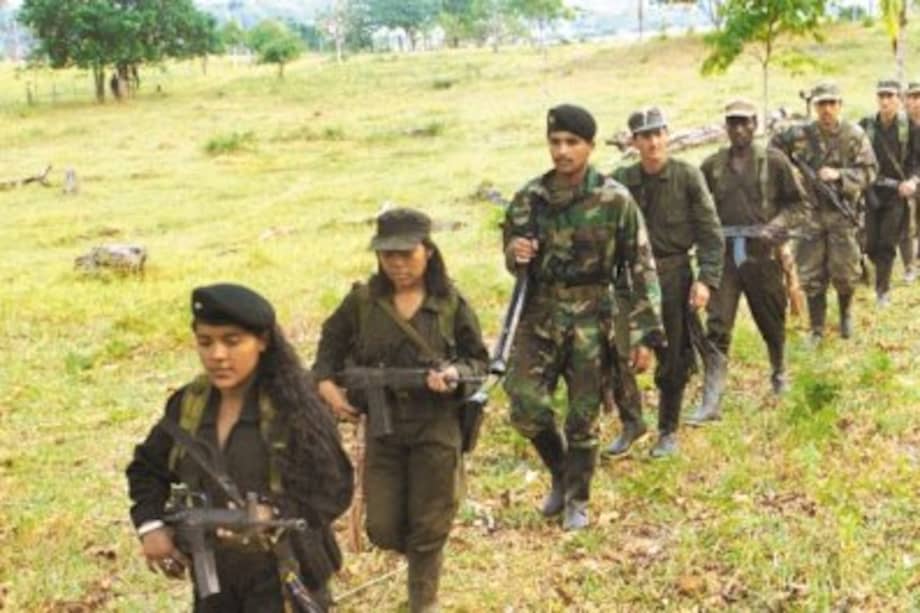 Las Farc denuncian ataque del Ejército en Meta. / Archivo
