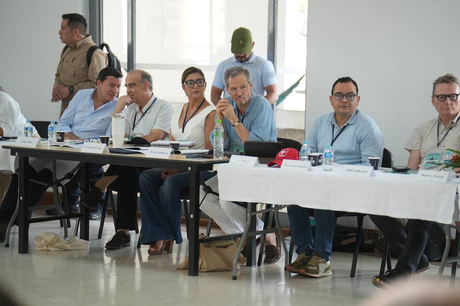 Un grupo diverso de académicos, expertos, exnegociadores de paz, empresarios, miembros de la Iglesia, mandatos locales y líderes de distintos territorios discutieron sobre la seguridad, la ampliación de la participación política, la inversión pública y el desarrollo rural.