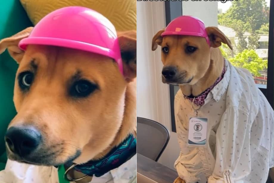 Bandida del Carmen se abrió paso en un terreno poco habitual: el mundo de la tecnología educativa. Hoy, su presencia busca tender puentes entre la innovación digital y el bienestar emocional.