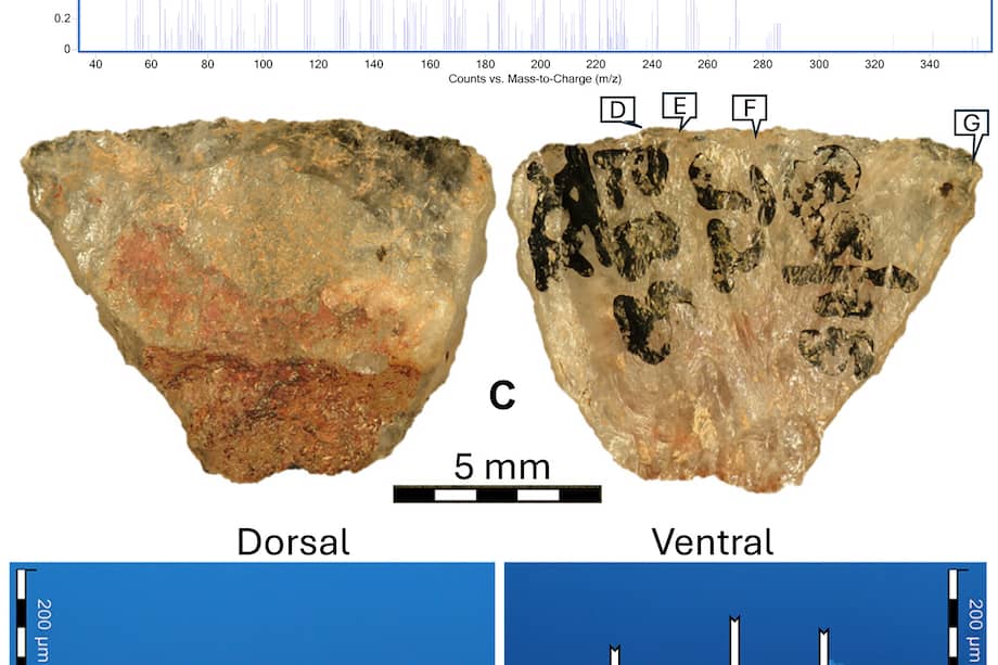 Los investigadores identificaron rastros de vegetales venenosos en las flechas utilizadas hace miles de años en África.
