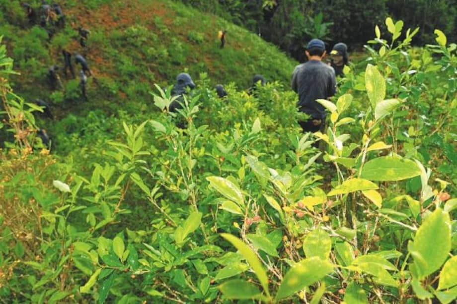 Van 16 líderes asesinados en lo que va de 2018. / Archivo.