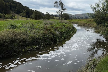 El río Bogotá mejora, pero las deudas ambientales ralentizan su recuperación