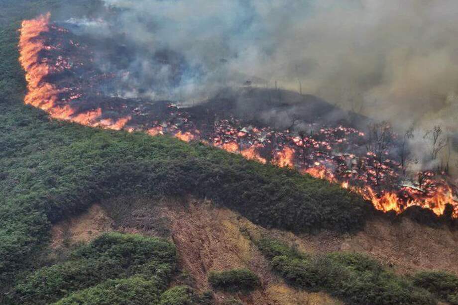 Se han visto afectadas más de 600 hectáreas en todo el país.