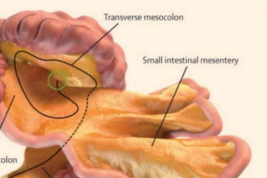 Tomado del twitter @Independent_ie