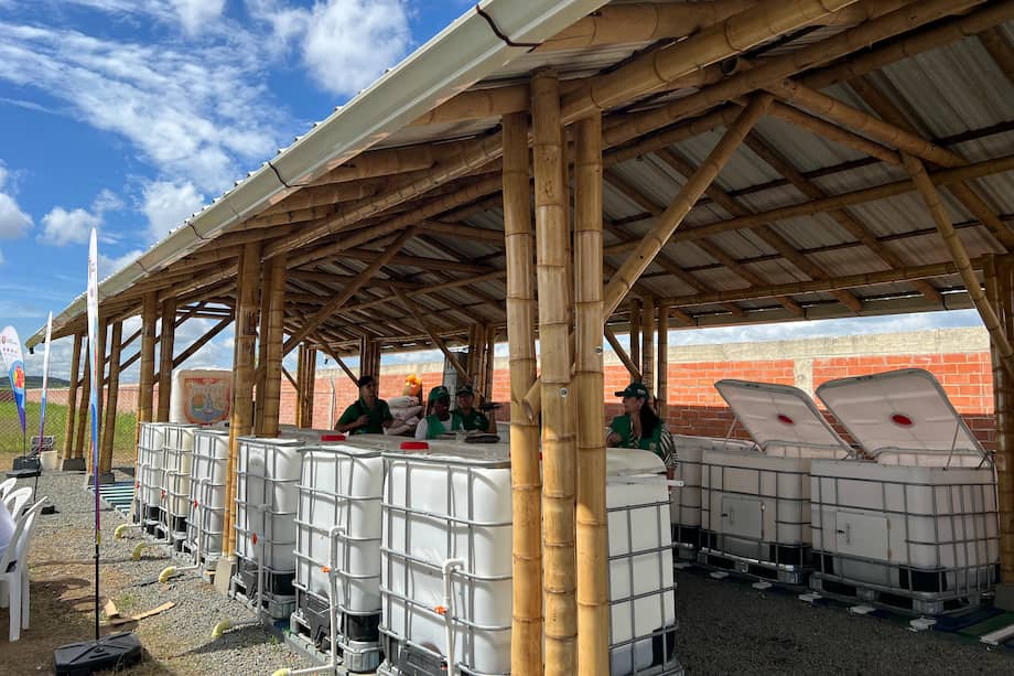 Para la construcción del Centro se requirió voluntad, luchas comunitarias y unos pocos materiales sostenibles.