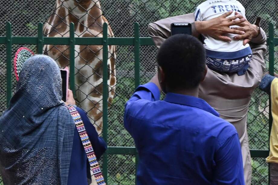 Pareja denuncia a su hijo por casarse hace seis años y no haberles dado nietos.