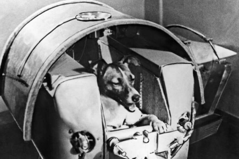 Estadounidenses y soviéticos recurrieron a los animales para determinar si era o no seguro enviar seres vivos al espacio.