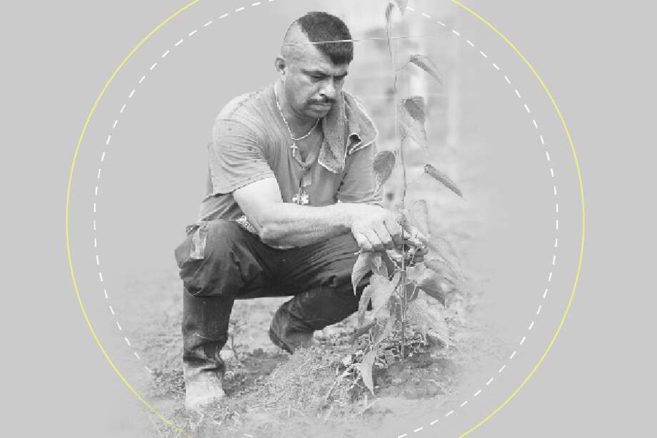 (En cifras) La reincorporación de los excombatientes de las Farc