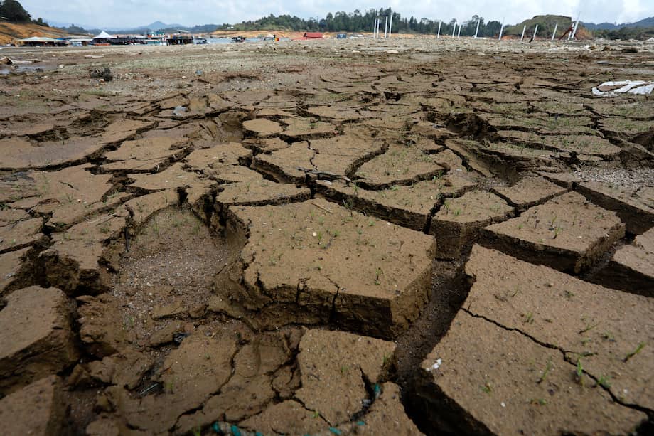 El Niño podría llegar pronto con climas más extremos y temperaturas más altas