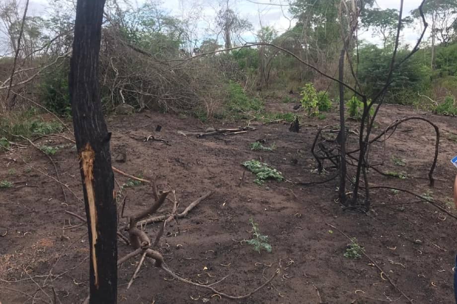 La hacienda Veracruz está en proceso de extinción de dominio desde el 31 de diciembre de 2004. Pero desde hace tres año se produce de manera ilegal carbón.