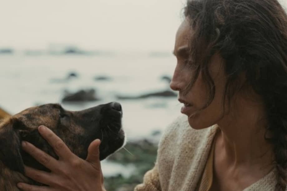 El Palm Dog reconoce cada año las mejores interpretaciones caninas presentadas en el Festival de Cannes.